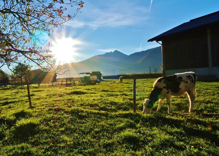 Haus Fischer Nassfeldblick Frühstückspension Kirchbach (Carinthia)